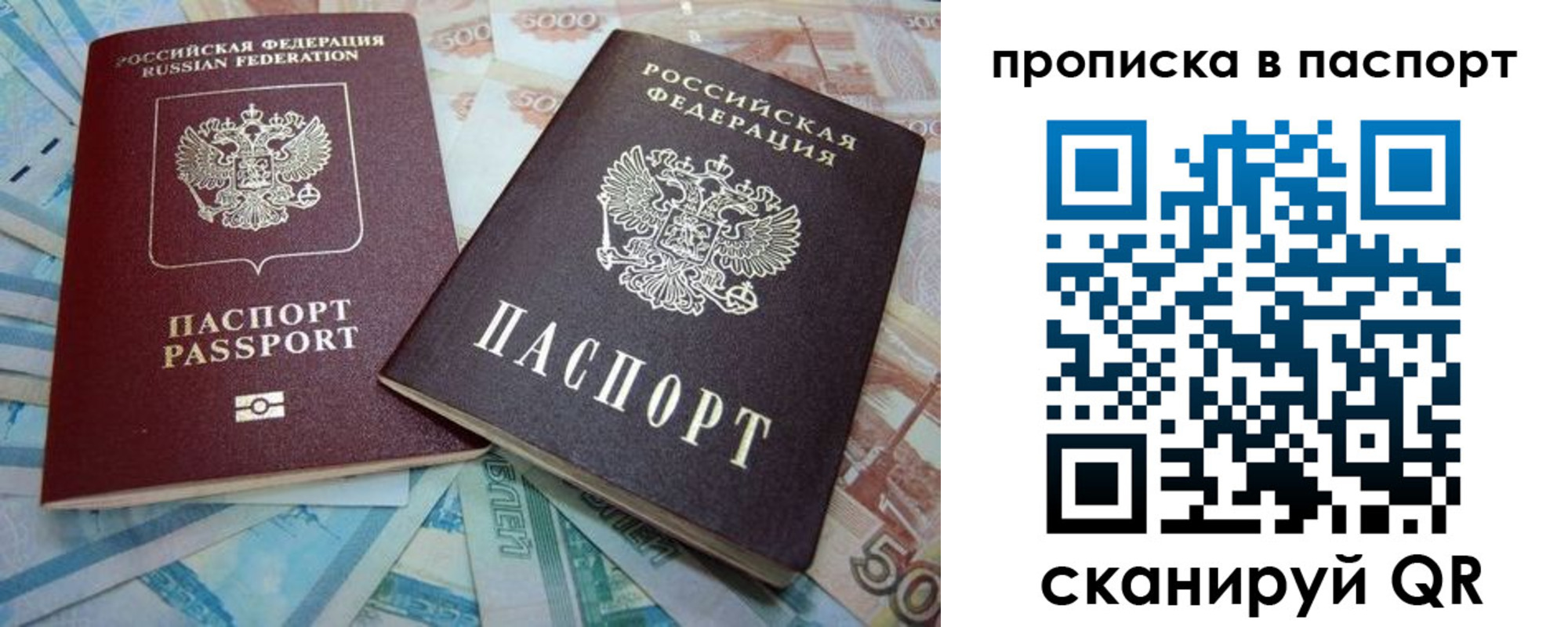 прописка поиск в Высоковске